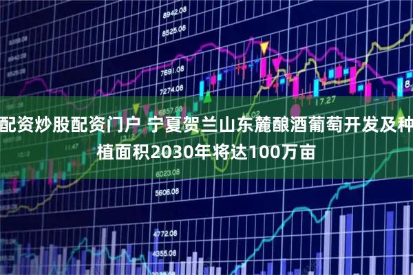配资炒股配资门户 宁夏贺兰山东麓酿酒葡萄开发及种植面积2030年将达100万亩